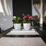 Lotta&nolla Villa